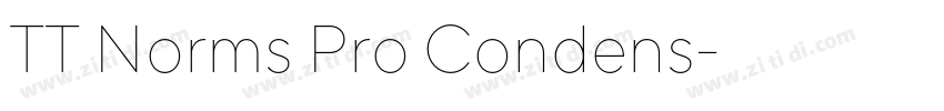 TT Norms Pro Condens字体转换